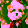 Cute Animals Jigsaw Adorable Puppies And Kittens